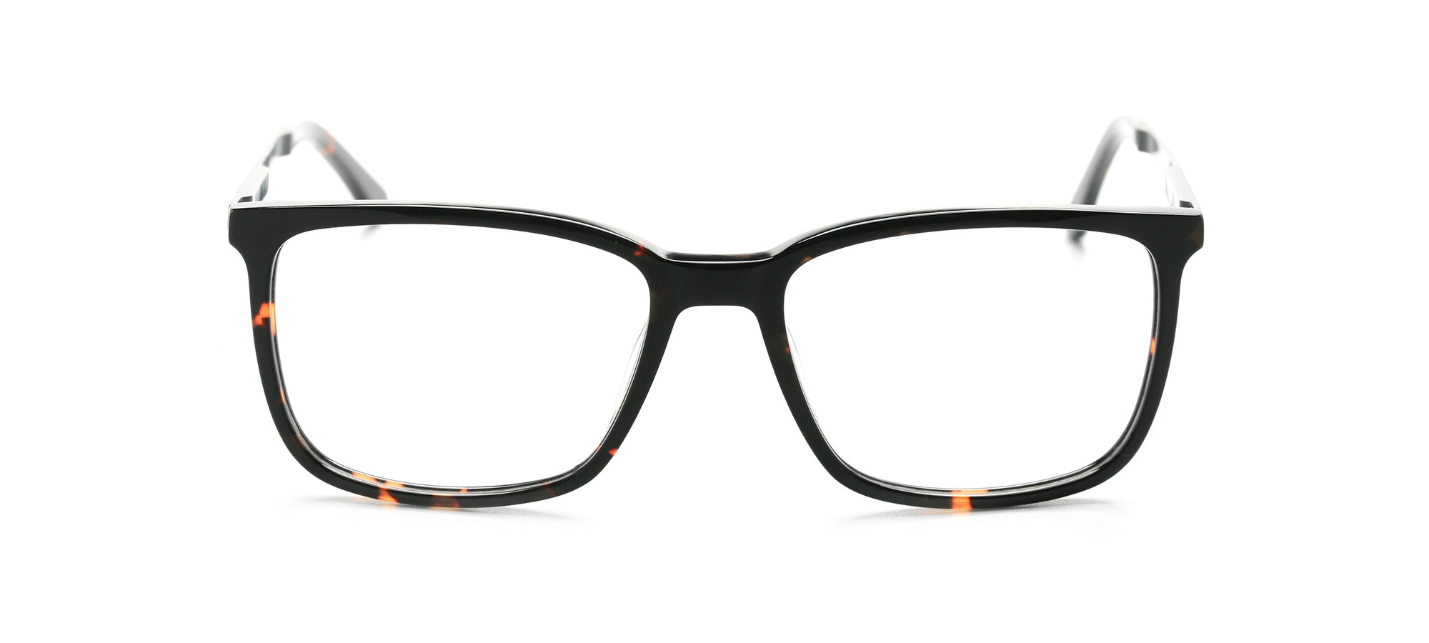 duke front tort